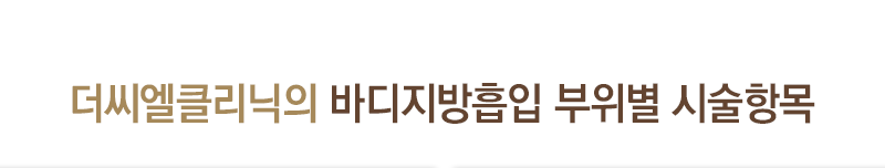 바디지방흡입